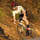 cannondale endurance raod