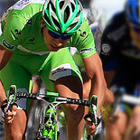 CANNONDALE ELITE